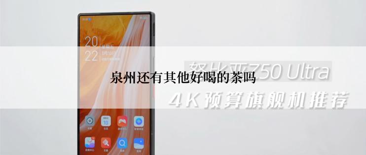 泉州还有其他好喝的茶吗