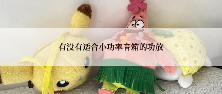 有没有适合小功率音箱的功放