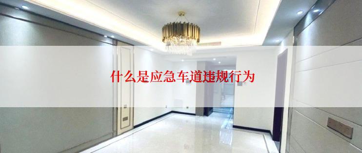  什么是应急车道违规行为
