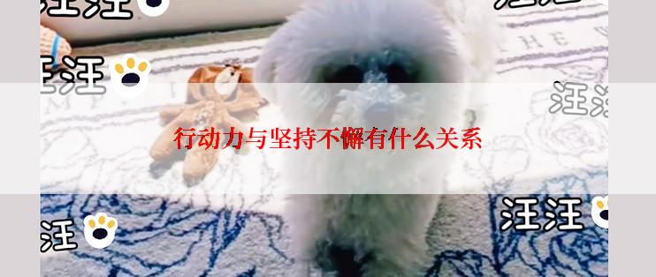 行动力与坚持不懈有什么关系