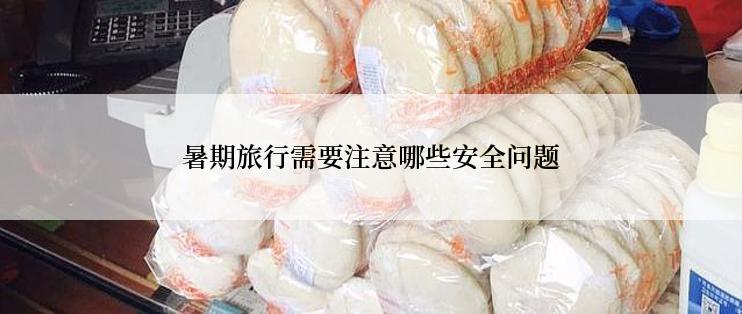 暑期旅行需要注意哪些安全问题