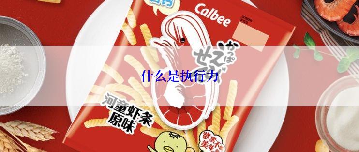 什么是执行力