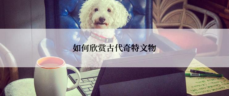 如何欣赏古代奇特文物