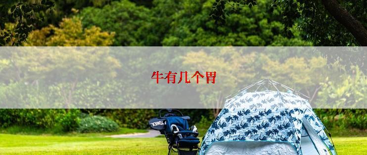 牛有几个胃
