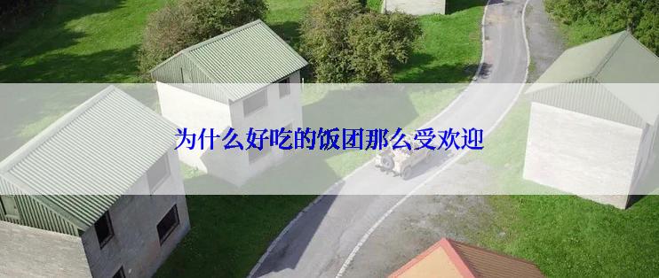 为什么好吃的饭团那么受欢迎