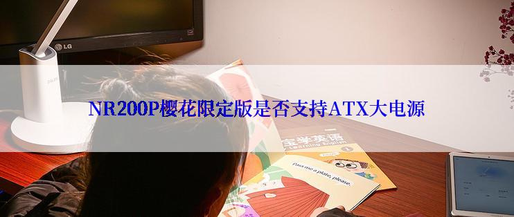 NR200P樱花限定版是否支持ATX大电源