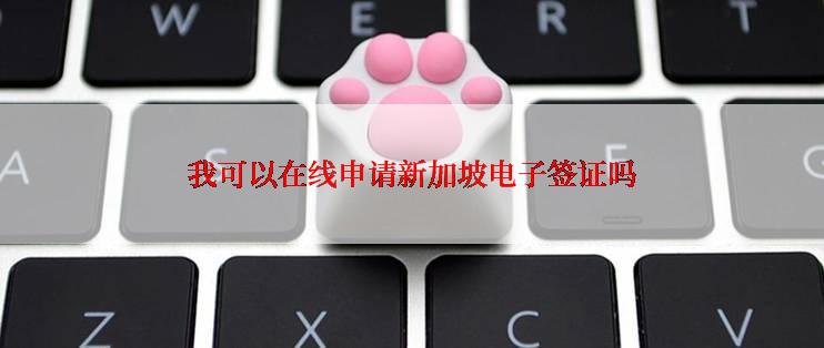 我可以在线申请新加坡电子签证吗