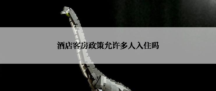 酒店客房政策允许多人入住吗
