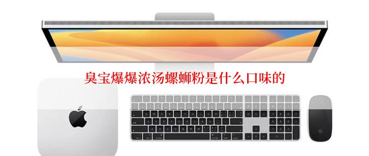 臭宝爆爆浓汤螺蛳粉是什么口味的