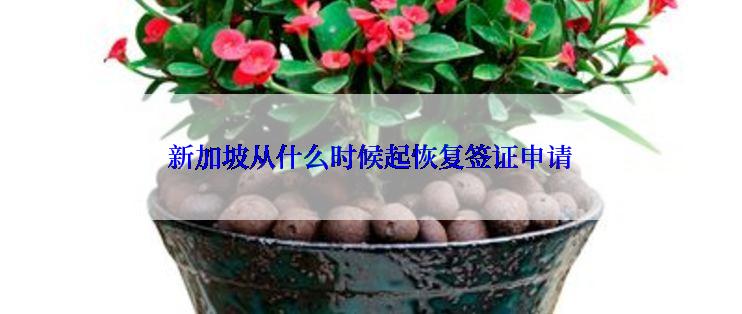 新加坡从什么时候起恢复签证申请