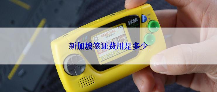 新加坡签证费用是多少
