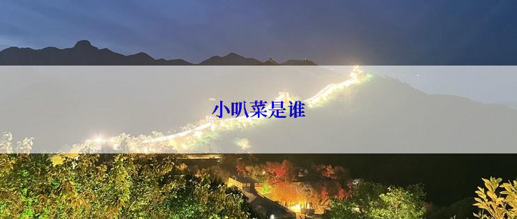 小叭菜是谁