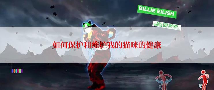 如何保护和维护我的猫咪的健康