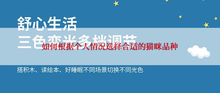 如何根据个人情况选择合适的猫咪品种