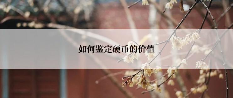 如何鉴定硬币的价值