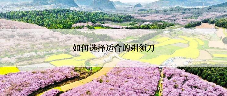如何选择适合的剃须刀