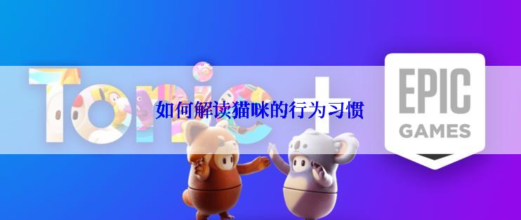 如何解读猫咪的行为习惯