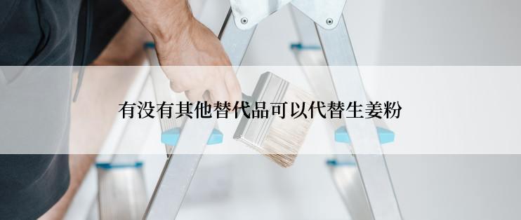 有没有其他替代品可以代替生姜粉