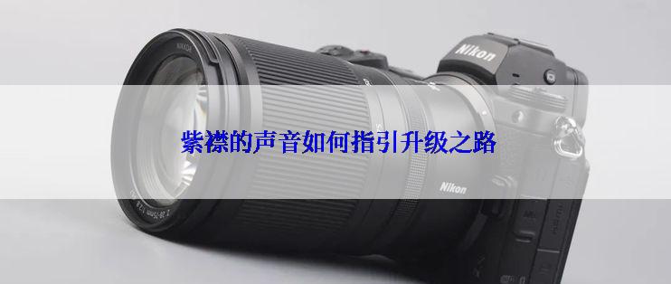  紫襟的声音如何指引升级之路