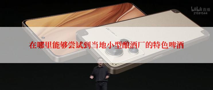 在哪里能够尝试到当地小型酿酒厂的特色啤酒