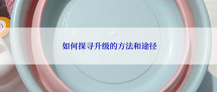  如何探寻升级的方法和途径