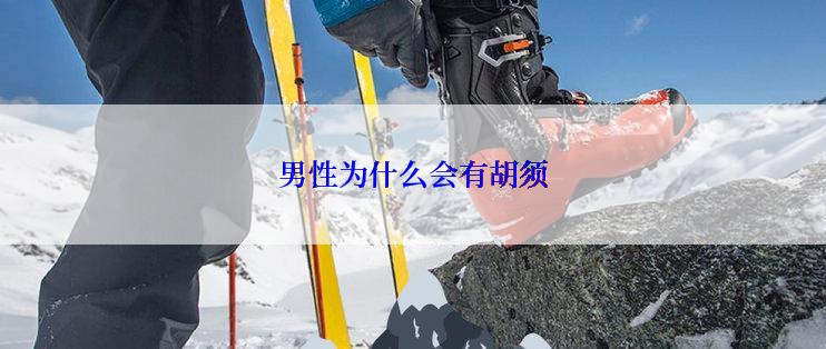 男性为什么会有胡须