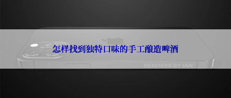 怎样找到独特口味的手工酿造啤酒