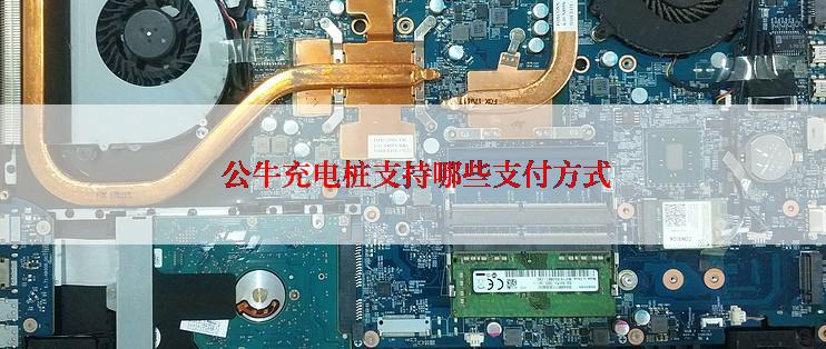  公牛充电桩支持哪些支付方式