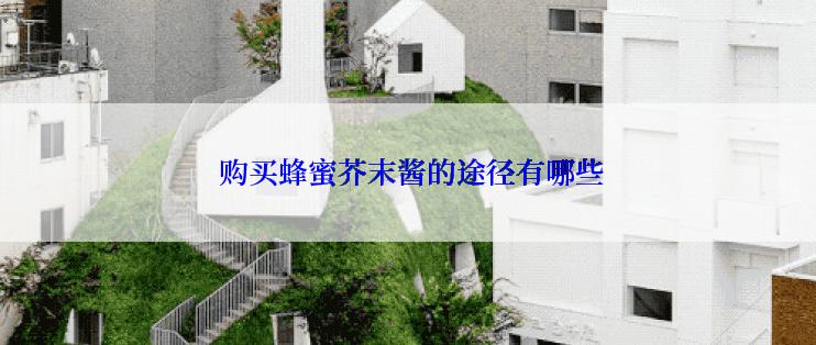  购买蜂蜜芥末酱的途径有哪些