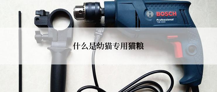 什么是幼猫专用猫粮