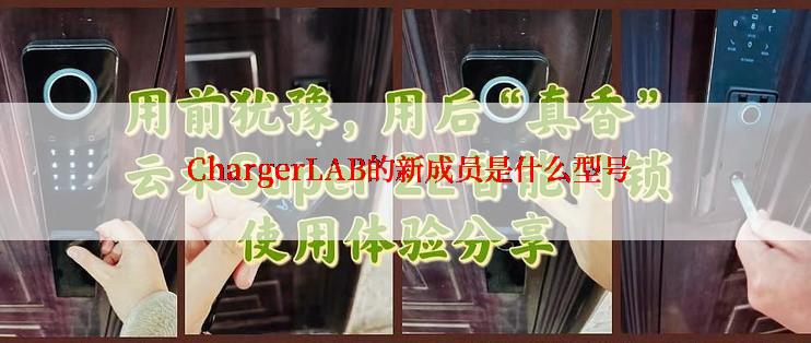  ChargerLAB的新成员是什么型号