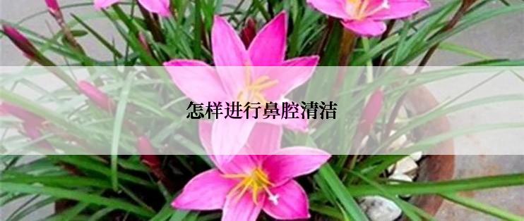 怎样进行鼻腔清洁