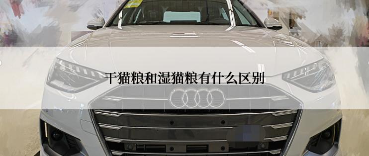 干猫粮和湿猫粮有什么区别