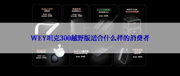 WEY坦克300越野版适合什么样的消费者