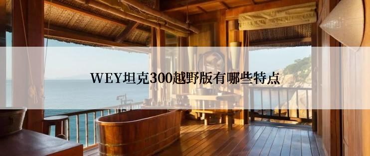 WEY坦克300越野版有哪些特点