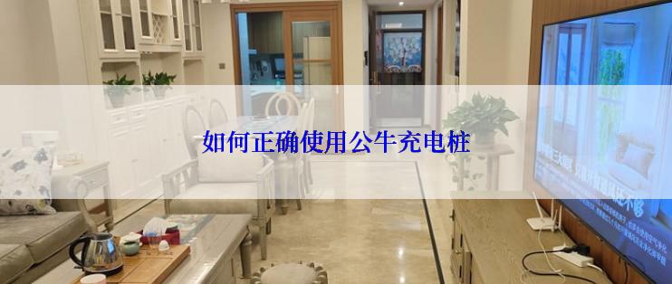 如何正确使用公牛充电桩