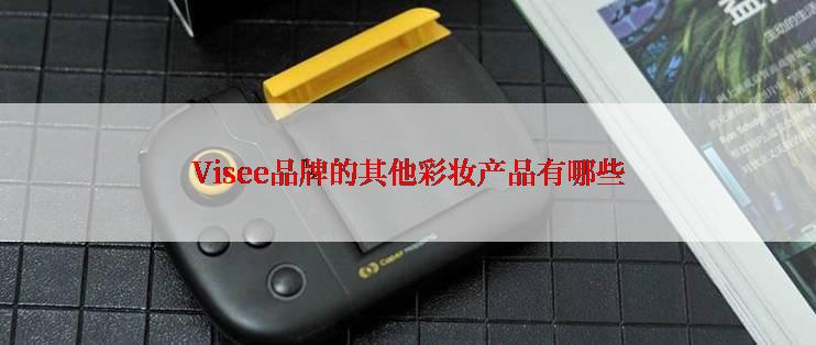 Visee品牌的其他彩妆产品有哪些