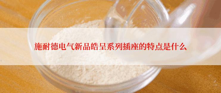 施耐德电气新品皓呈系列插座的特点是什么
