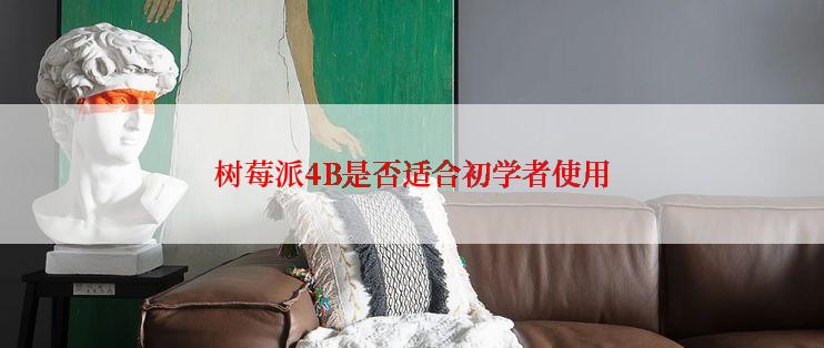 树莓派4B是否适合初学者使用