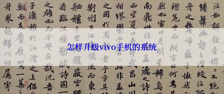 怎样升级vivo手机的系统