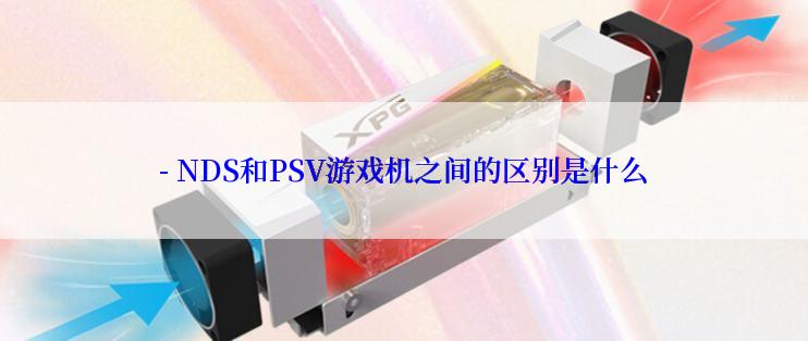 - NDS和PSV游戏机之间的区别是什么