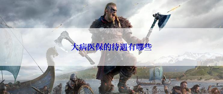 大病医保的待遇有哪些