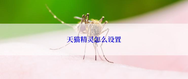 天猫精灵怎么设置