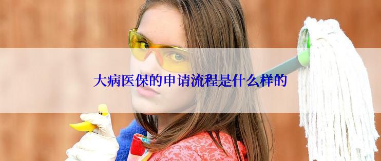 大病医保的申请流程是什么样的