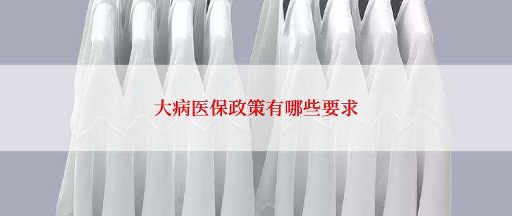 大病医保政策有哪些要求