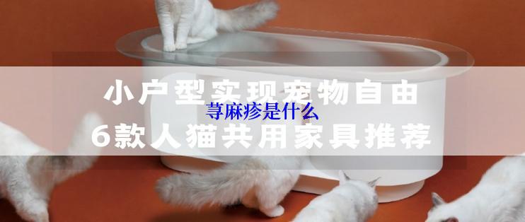 荨麻疹是什么