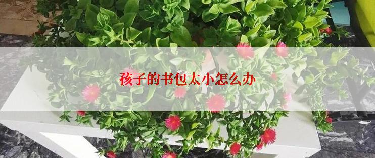 孩子的书包太小怎么办