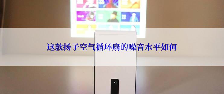 这款扬子空气循环扇的噪音水平如何