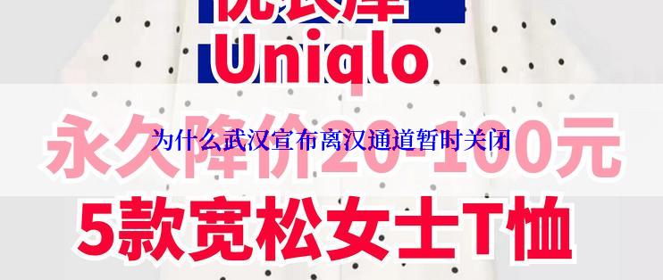 为什么武汉宣布离汉通道暂时关闭