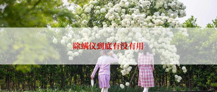 除螨仪到底有没有用